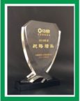 award-18