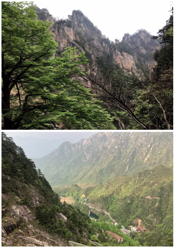 2019仲望华东区春季公益Outing回顾