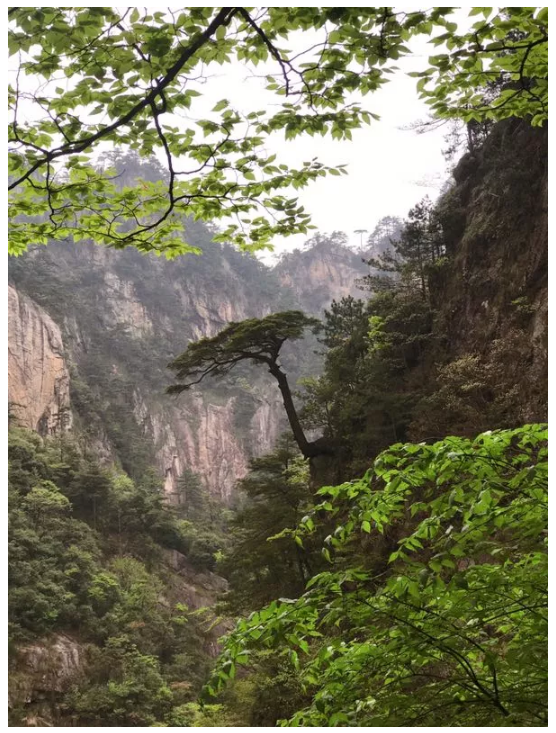 2019仲望华东区春季公益Outing回顾