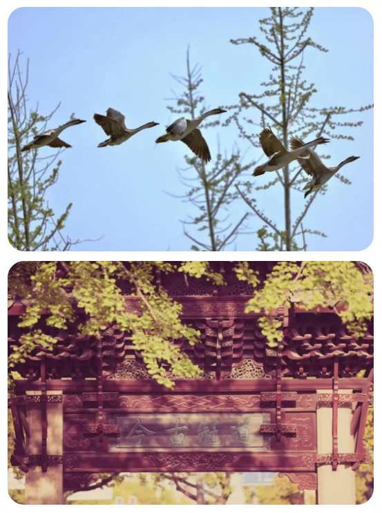 仲望咨询 x 中国SOS儿童村公益outing