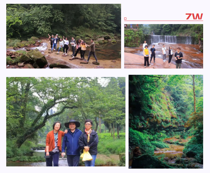 成都站 | 仲望咨询 × 中国SOS儿童村 公益Outing