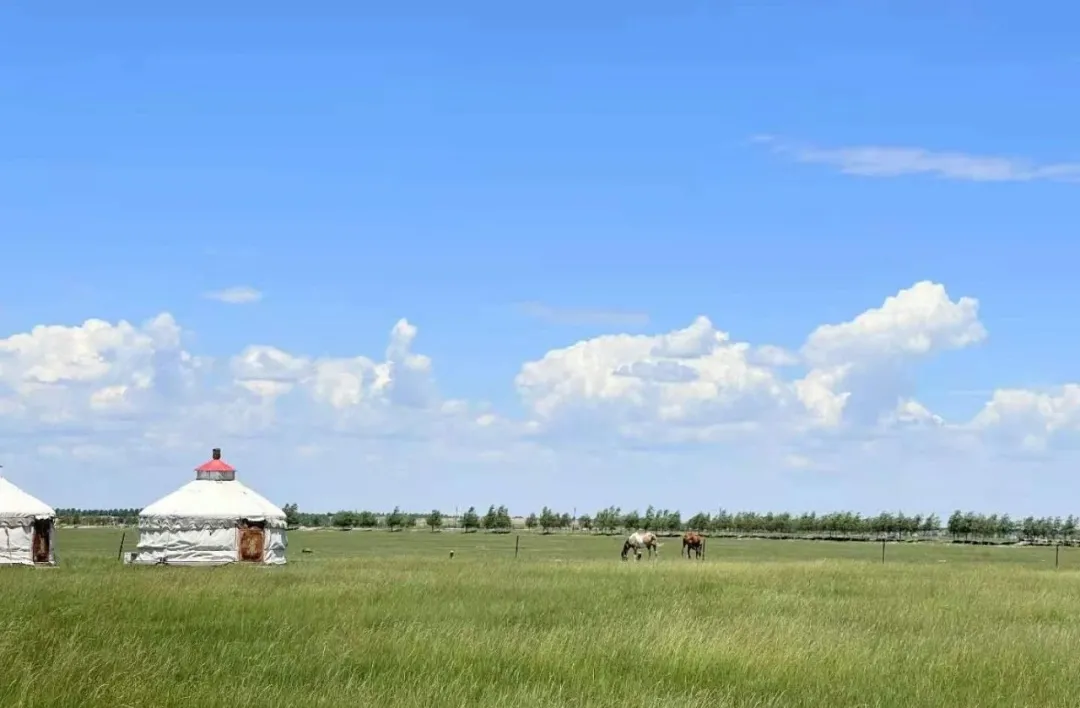 大连office内蒙公益出游记