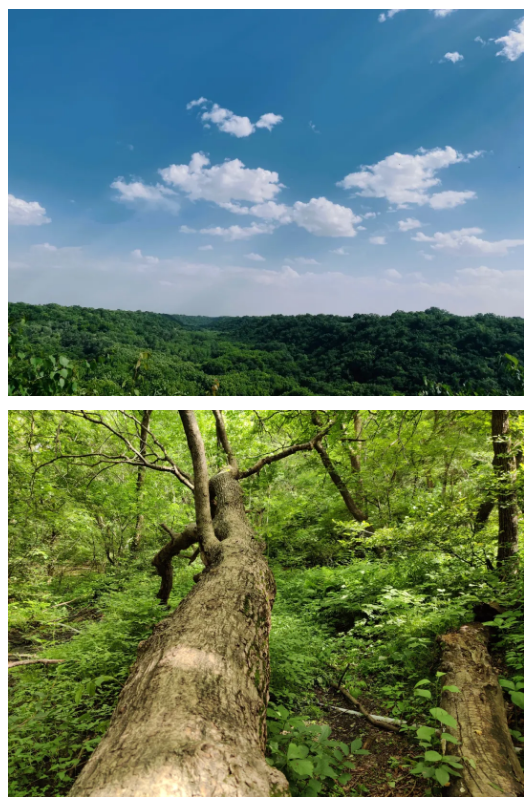 大连office内蒙公益出游记