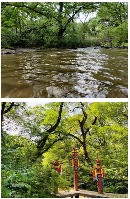 大连office内蒙公益出游记