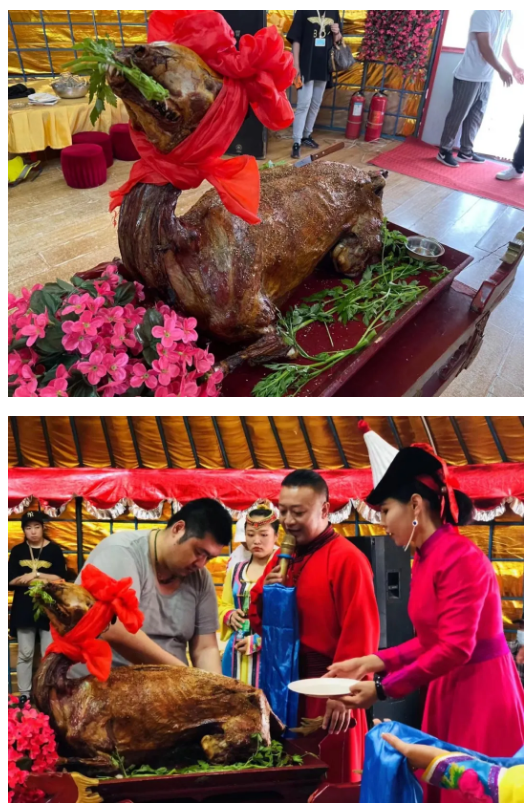 大连office内蒙公益出游记