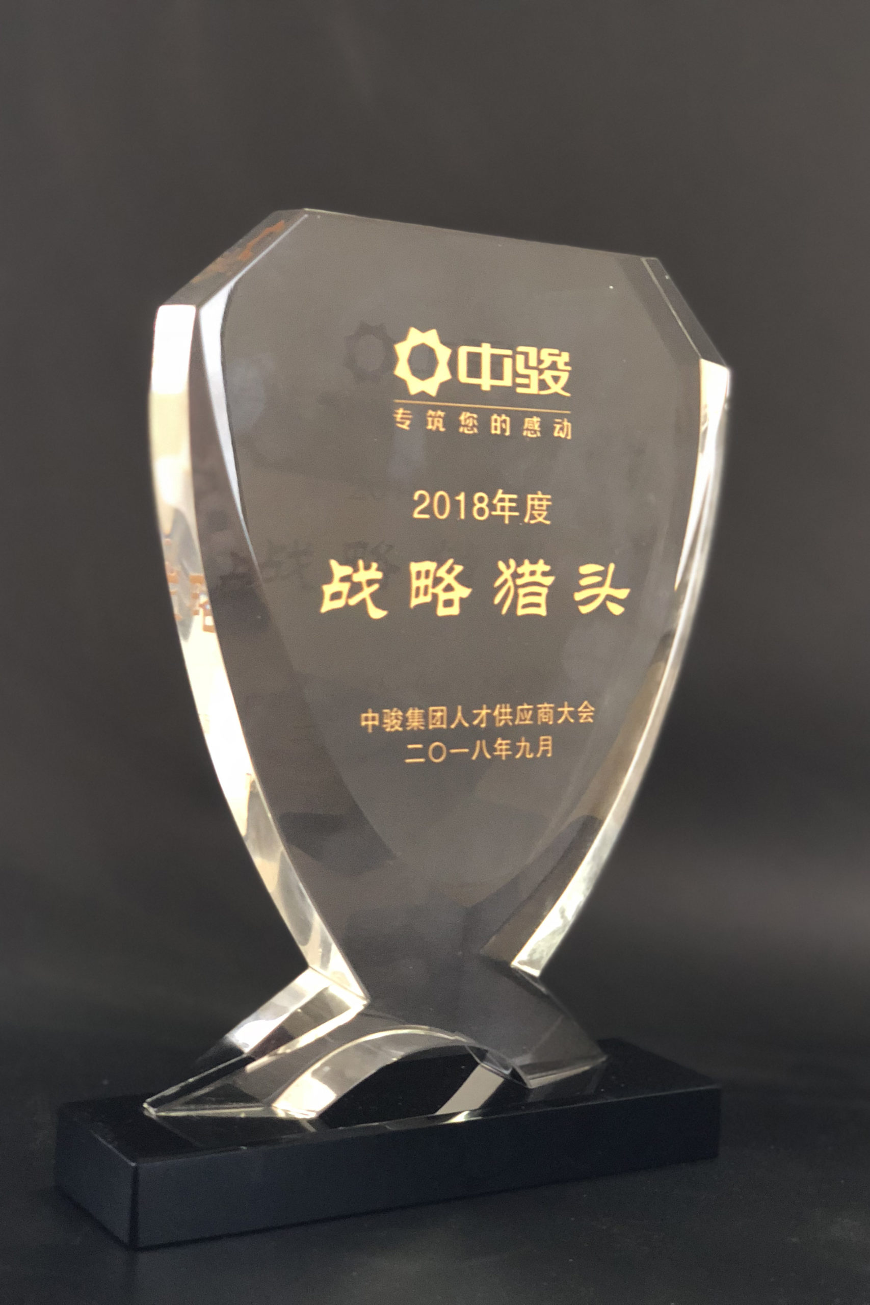 2018年度-中骏-战略猎头