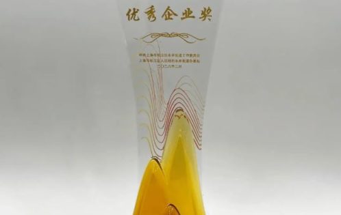 2026仲望咨询荣获“高质量发展优秀企业奖”